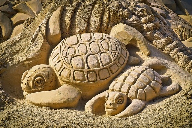 Dve korytnačky postavené z piesku.jpg